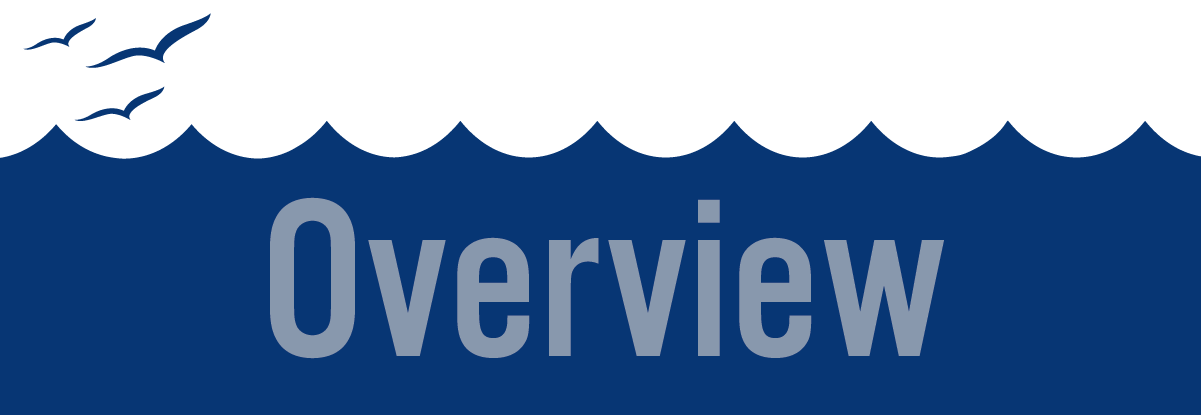 Overview