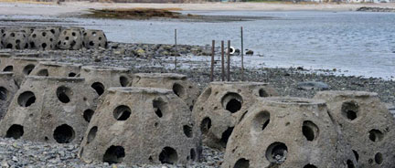 reef balls on shoreline